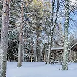 Koivula By Interhome Soini