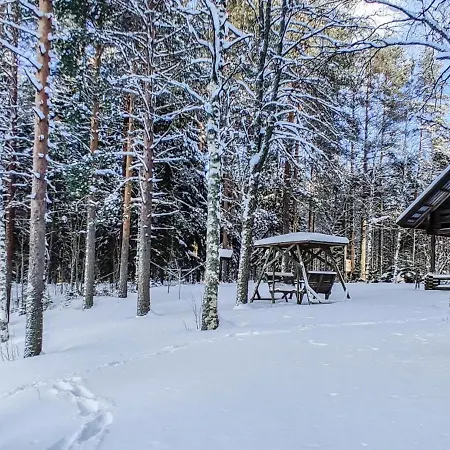 Koivula By Interhome