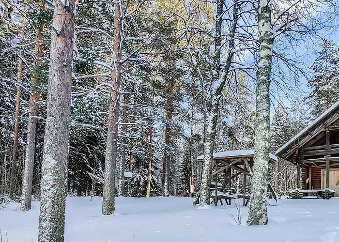 Koivula By Interhome Soini